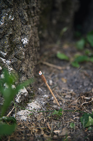 LGBC_0445