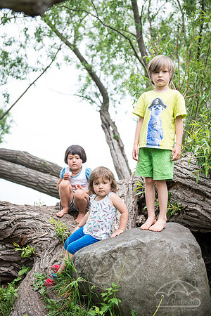 DSC_6431